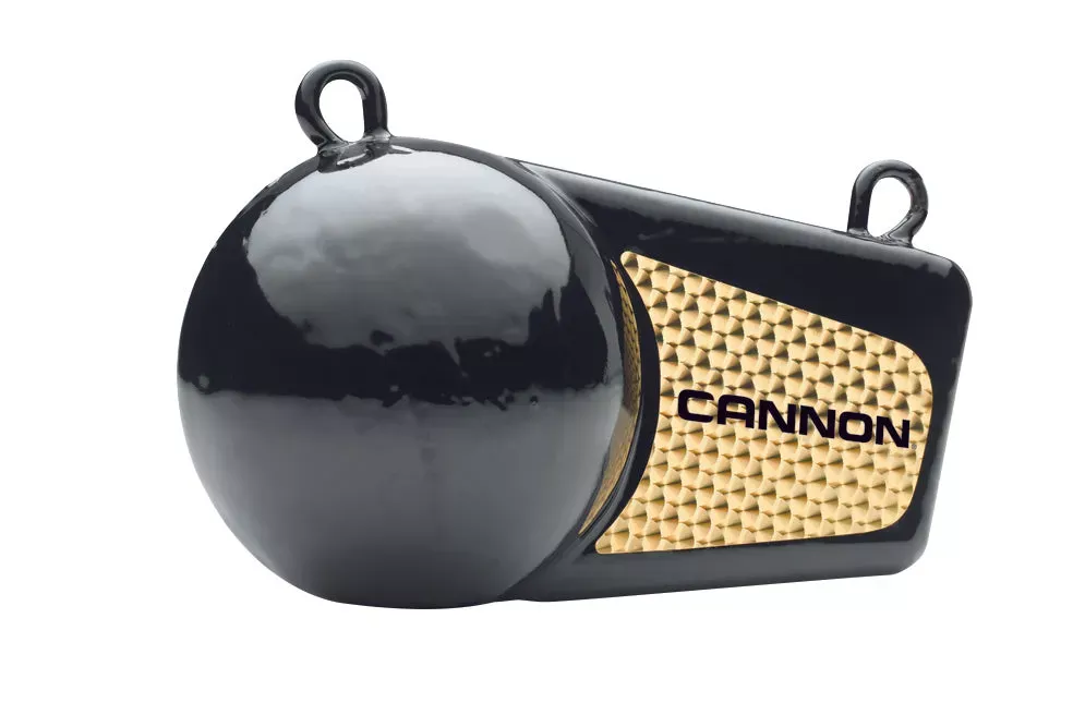 Cannon 1908016 Flash Weights – 16 lb.